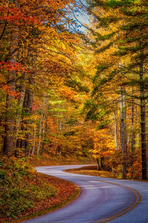 Blue Ridge Parkway Fall, Blue Ridge Parkway Virginia, Shop Photography, Fall Fest, Fall Beauty, Weather Seasons, Autumn Days, Blue Ridge Parkway, Autumn Scenery