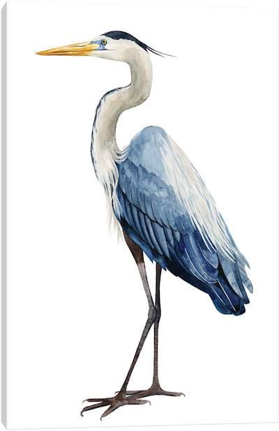 Herons Canvas Art Prints | iCanvas Heron Art, Bird Artwork, Blue Heron, Bird Drawings, Sea Birds, Watercolor Bird, Coastal Art, By Grace, Prints Wall Art