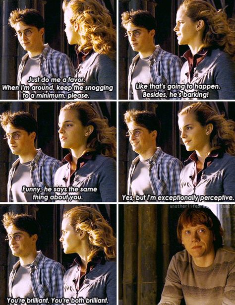 Harry Potter - deleted scene Harry Potter Hermione And Ron, Harry Potter Romione, Hermione X Ron, Harry Potter Deleted Scenes, Harry Potter Lines, Harry Potter Half Blood Prince, Harry Potter Quizzes, You're A Wizard Harry, Harry And Hermione