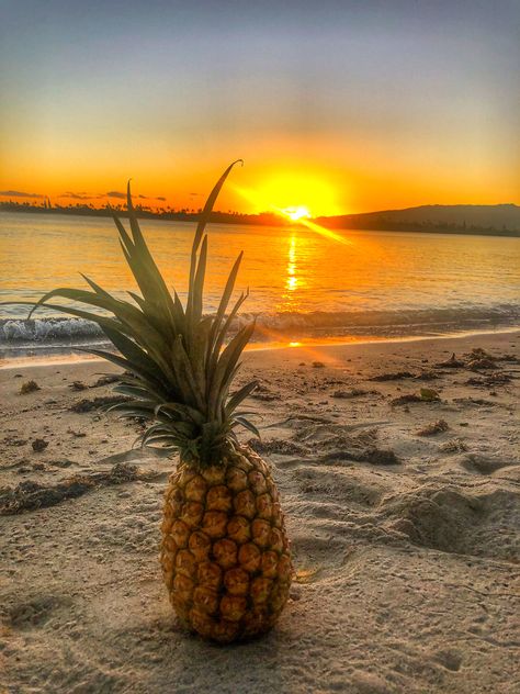 Aminé Aesthetic, Pineapple Pictures, Dope Wallpaper Iphone, Beach Wallpaper Iphone, Pineapple Wallpaper, Everything Is Blue, Caribbean Wedding, Scenery Pictures, Summer Wallpaper