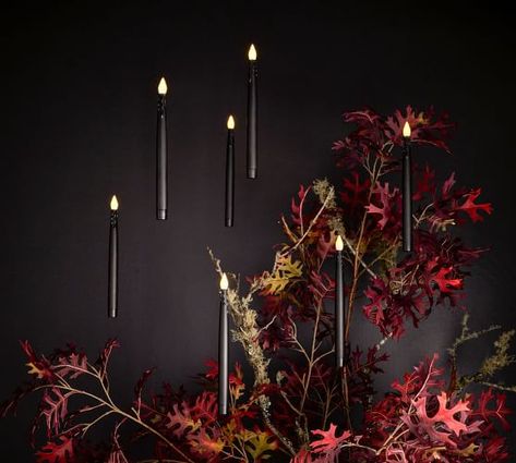 Halloween Home Decor & Halloween Decorations | Pottery Barn Pottery Barn Halloween, Black Taper Candles, Halloween Dinner Party, Floating Candle, Chic Halloween, Hanging Candles, Scary Halloween Party, Outdoor Cushion Covers, Halloween Dinner