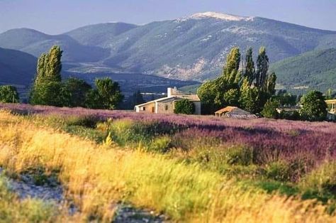 Provance France, Countryside Picnic, Lavender Inspiration, France Landscape, Best Vacation Destinations, Landscape Photography Nature, Provence France, French Countryside, Lavender Fields