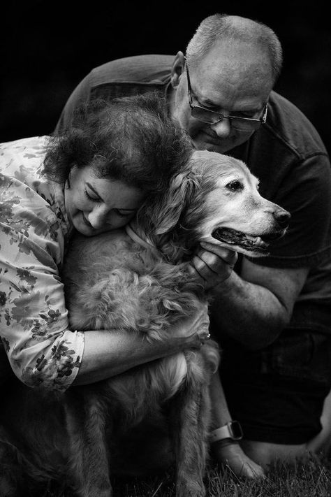 Dog Family Pictures, Pet Photography Poses, Dog Photoshoot Pet Photography, Family Pet Photography, Dog Photography Poses, Pet Photoshoot, Pet Portraits Photography, Animal Photoshoot, Dogs And Humans