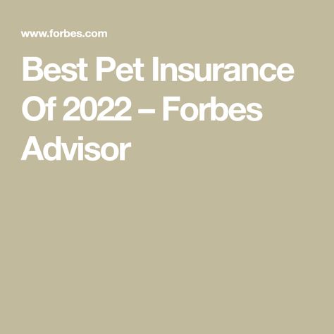 Best Pet Insurance Of 2022 – Forbes Advisor Pet Insurance Dogs, Great Dane Mastiff, Most Expensive Dog, Heartworm Prevention, Expensive Dogs, Dog Insurance, Pet Wellness, Money Advice, Pet Insurance