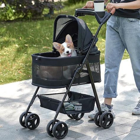 https://amzn.to/3zyGHZa, (paid link), just got one for Winston it’s the bomb, he loves it Folding Stroller, Cat Stroller, Jogger Stroller, Pet Strollers, Dog Stroller, Pet Stroller, Travel Carrier, Dog Carrier, British Shorthair