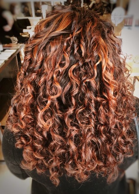 Curly red auburn hair with copper highlights  Curls Ouidad Brown Curly Hairstyles, Hair With Copper Highlights, Curly Hair 2023, Dark Copper Brown, Copper Highlights On Brown Hair, Curly Highlights, Auburn Balayage, Red Hair With Highlights, Dyed Curly Hair