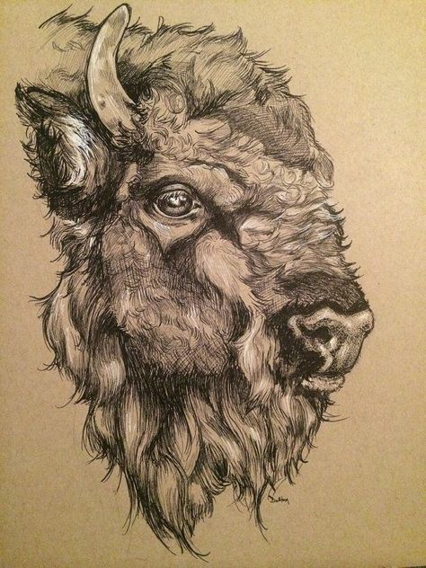 Buffalo Head Drawing, Buffalo Pictures, Bison Tattoo, Buffalo Tattoo, Bison Head, Etching Art, Buffalo Painting, Buffalo Head, Bison Art