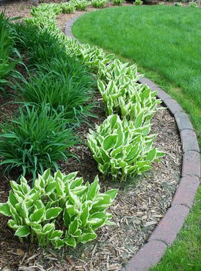 Hostas & Daylilies                                                                                                                                                     More Small Front Yard Landscaping, Front Garden Landscape, نباتات منزلية, House Simple, Easy Landscaping, Front Landscaping, Home Landscaping, Garden Yard Ideas, Minecraft Building