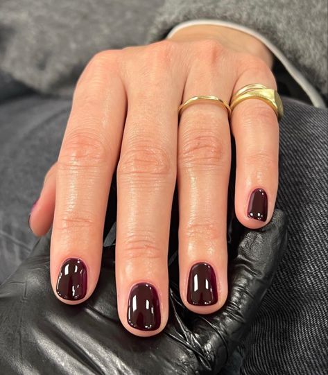 Short Nails February 2024, Square Dark Nails, Short Nail Colours, Short Nail Shape Ideas, One Color Nail Ideas, Natural Gel Nails Ideas Short, Short Gel Nails Winter, Natural Acrylic Nails Short, Short Nail Colors