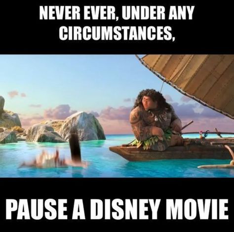 Moana Funny, Moana Memes, Disney Paused, Paused Disney Movies, Humor Disney, Disney Princess Memes, Disney Theory, Funny Disney Memes, Funny Disney Jokes