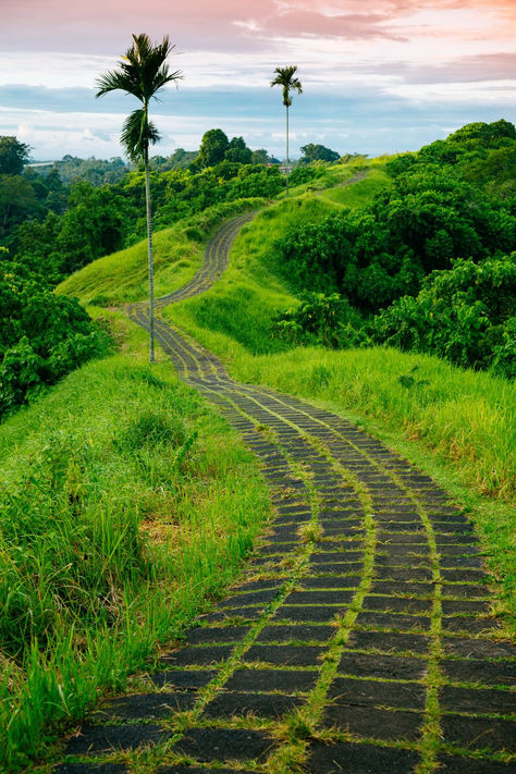 A photo of a couple walking through a lush green forest on a narrow path. The forest is dotted with palm trees and other tropical plants. In the background, you can see rice paddies and mountains. Campuhan Ridge Walk Bali, Bali Hiking, Campuhan Ridge Walk, Travel Countries, Rice Paddies, Rice Paddy, Connect With Nature, Ubud Bali, Take A Walk