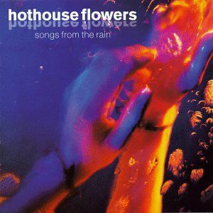 Hothouse Flowers - Songs From The Rain (CD, Album) at Discogs Pop Rock Music, Record Store, The Album, Album Art, Rock Music, The Rain, Web Site, Album Covers, Cd