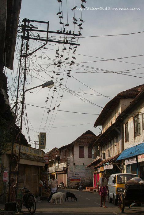 Kerala Street, Bale Dance, City Life Photography, Environment Painting, Kochi Kerala, Landscape Reference, Watercolor Paintings Nature, Village Photography, India Photography