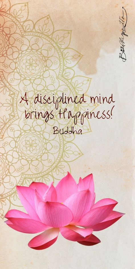 Buddha Quotes Peace, Buddha Thoughts, Magical Quotes, Little Buddha, Motivational Quotes Wallpaper, Angel Guidance, Buddha Teachings, Happy Buddha, The Little Things In Life