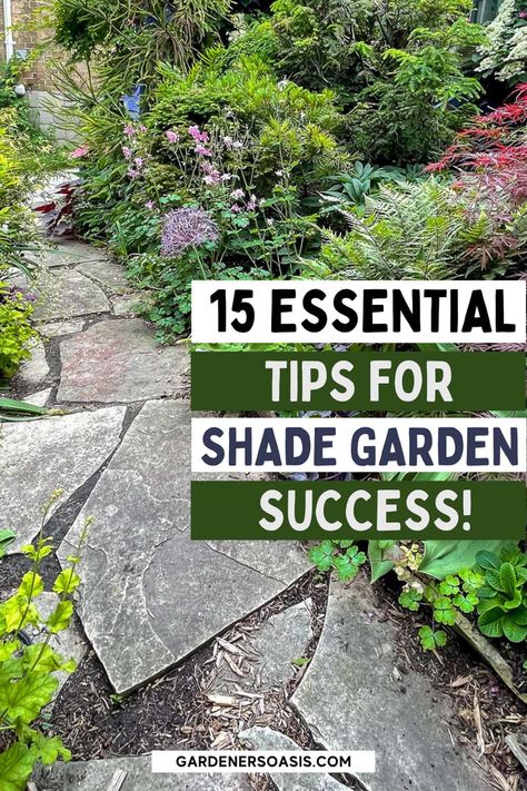 15 Essential Tips For Shade Garden Success Shade Garden Design Layout, Part Shade Plants, Shade Garden Design, Shade Gardening, Japanese Tree, Full Sun Plants, Short Plants, Garden Design Layout, Invasive Plants