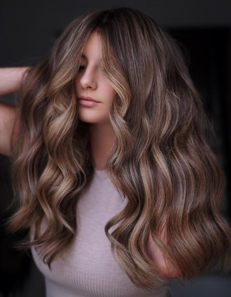 Chocolate Hair with Sandy Blonde Highlights Blonde Hilites, Sandy Blonde Highlights, Dark Brown Hair With Highlights, Root Melt, Highlights Ideas, Golden Highlights, Bronde Hair, Hair Adviser, Chocolate Hair