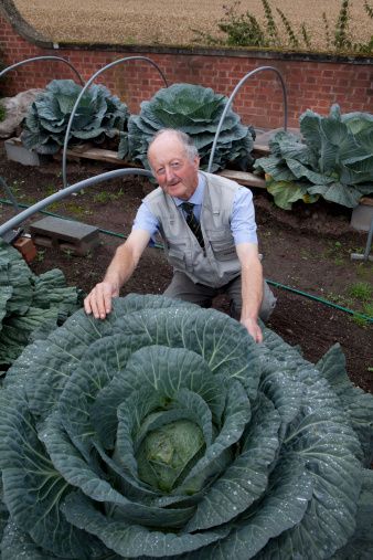 oversized plant Butter Sculpture, Giant Vegetable, Welcome To The Internet, Daily Nutrition, Cool Tree Houses, Man Projects, Photos Funny, The Last Supper, Unusual Plants