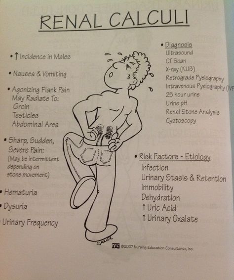 renal calculi - alterations Pathophysiology Nursing, Renal System, Renal Calculi, Memory Notebook, Nursing Things, Nurse Notes, Study Sheets, Urinary System, Nursing Assessment