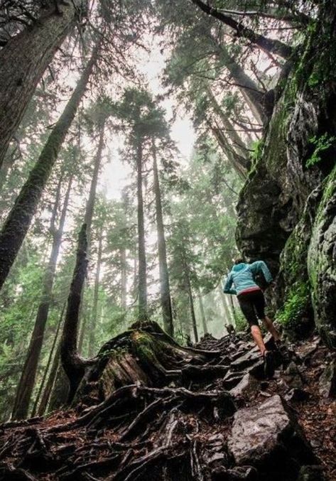 Looks like incredible trail running! Hiking Pose, Picture Poses Ideas, Jogging Aesthetic, Post Run Stretches, Post Workout Stretches, Post Run, Stretches For Runners, Marathon Motivation, Running Photography