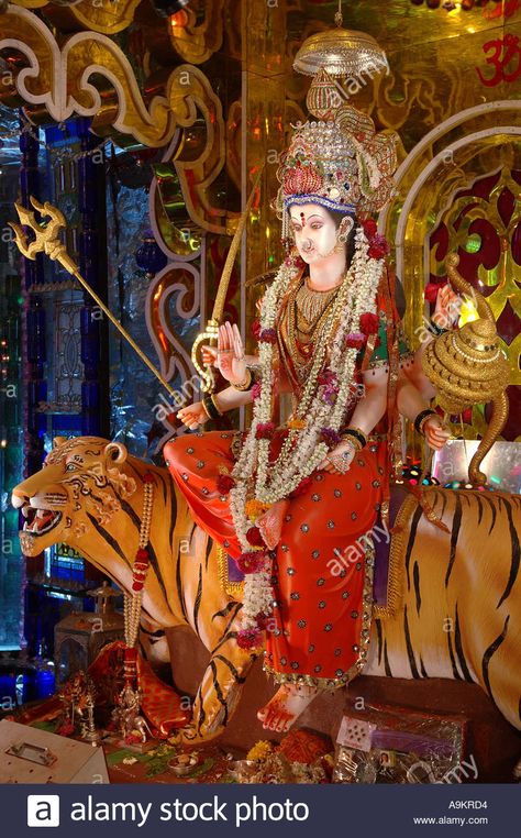 Download this stock image: South Asian Indian Goddess Amba Bhavani showering blessings sitting on tiger india - A9KRD4 from Alamy's library of millions of high resolution stock photos, illustrations and vectors. Durga Puja Wallpaper, Navratri Devi Images, Lord Durga, Maa Durga Photo, Durga Ji, Durga Kali, Aadi Shakti, Happy Navratri Images, Mata Rani