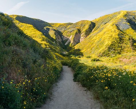 10 Best Hiking Trails In Ventura, California California Road Trip Itinerary, Santa Cruz Island, California Travel Guide, Ventura California, Salton Sea, Places In California, Grant Park, Hiking Spots, Park Trails