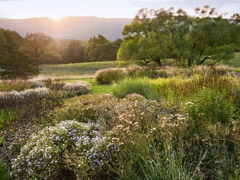 A naturalistic garden in Virginia's Blue Ridge Mountains, designed by Luciano Giubbilei Hike Virginia, West Virginia Landscape, Virginia Blue Ridge Mountains, Virginia Landscape, Luciano Giubbilei, Geometric Pool, Naturalistic Garden, October Sky, Prairie Planting