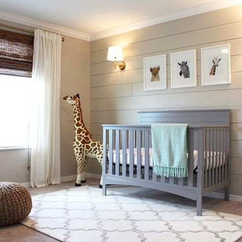 From design board to real life, this nursery is the real deal! Filled with great ideas:bulb:and #DIY projects, handy-woman, Lindsay of @frills_and_drills turned her spare room into the nursery of her dreams for her baby boy. Zoo Nursery Theme, Nursery Curtains Boy, Shiplap Nursery, Transitional Nursery, Giraffe Nursery Decor, Grey Nursery Boy, Nursery Accents, Nursery Accent Wall, Nursery Reveal