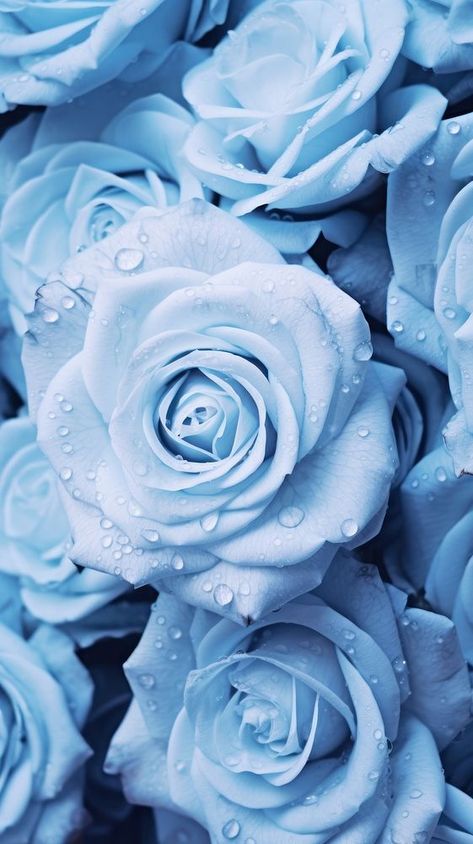 Blue aesthetic wallpaper flower plant rose. AI generated Image by rawpixel. | free image by rawpixel.com / Boom Pretty Blue Wallpaper Iphone, Blue Flower Iphone Wallpaper, Roses Iphone Wallpaper, Aesthetic Wallpaper Flower, Wallpaper Iphone Roses, Blue Aesthetic Wallpaper, Iphone Wallpaper Iphone, Wallpaper Flower, Rosé Aesthetic