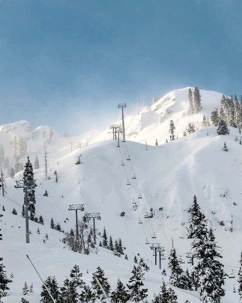 Oh, to be deep in snow in📍Palisades Tahoe! ⁠ ⁠ Hailed as the #𝟭 𝘀𝗸𝗶 𝗿𝗲𝘀𝗼𝗿𝘁 𝗶𝗻 𝘁𝗵𝗲 𝗨𝗻𝗶𝘁𝗲𝗱 𝗦𝘁𝗮𝘁𝗲𝘀 𝗯𝘆 𝘁𝗵𝗲 𝗪𝗮𝗹𝗹 𝗦𝘁𝗿𝗲𝗲𝘁 𝗝𝗼𝘂𝗿𝗻𝗮𝗹, Palisades Tahoe is known for its 6,000 acres of uninterrupted legendary terrain. ⁠ ⁠ This is your sign to get your ski gears ready and book that trip for the next ski season! 😉⁠ ⁠ Slide into our DMs or contact the Skimax Crew to learn how to snag the best deals to Palisades Tahoe! 🤩⁠ ⁠ 📧 skimax@skimax.com.au⁠ ☎️ (02) 9267 1655⁠ ⁠ ⁠#skimaxholidays #skiing #ski #snowboardi... Palisades Tahoe, Tahoe Skiing, Ski Hill Aesthetic, Skiing Lake Tahoe, Snowbird Ski Resort, Snowy Mountains Skiing, Ski Holidays, Ski Season, Wall Street Journal