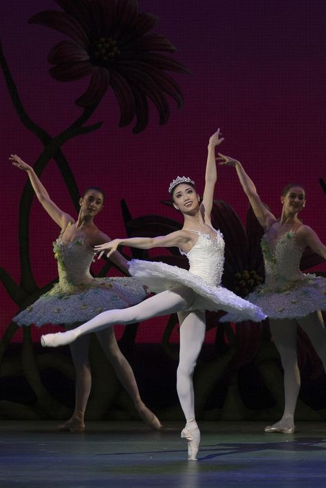 Akane Takada as Kitri in Don Quixote, The Royal Ballet © 2019 ROH. Photograph by Andrej Uspenski Akane Takada, Jordan Matter, Dance Pics, The Royal Ballet, Ballerina Barbie, Dance Women, Ballet Poses, Mata Hari, Ballet Inspiration