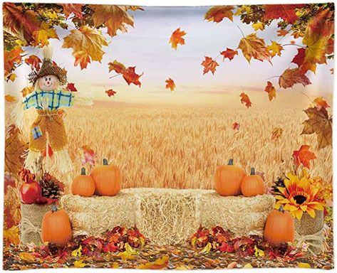 Amazon.com : Funnytree 7X5FT Soft Fabric Fall Backdrop Autumn Pumpkin Harvest Thanksgiving Hay Maple Leaves Background Baby Shower Birthday Party Decor Portrait Studio Photobooth Photography Props Gift Supplies : Electronics First Birthday Decorations Boy, Fall Backdrops, Background Baby, Pumpkin Harvest, Leaves Background, Cozy Fall Decor, Harvest Thanksgiving, First Birthday Decorations, Boy Decor