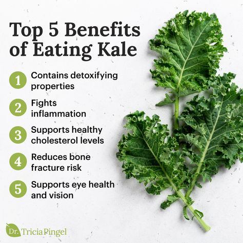 Kale Benefits, Benefits Of Kale, Raw Kale Salad, Kale Leaf, Kale Benefits Health, Detoxifying Food, Kale Juice, Most Nutrient Dense Foods, Kale Chip Recipes