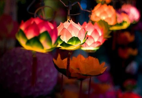 Chinese Lotus Flower Lantern | Globerove Wesak Lanterns, Song Concepts, Lotus Lantern, Architecture Elements, Flower Lamp, Lantern Festival, Bohemian Aesthetic, Beltane, Flower Lights