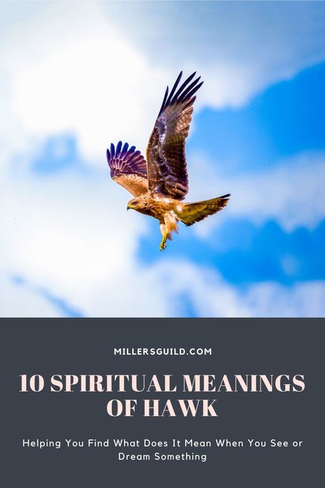 10 Spiritual Meanings of Hawk Eagle Meaning, Hawk Meaning, Hawk Symbolism, Hawk Spirit Animal, Hawk Spirit, Celtic Zodiac, Celtic Legends, Spiritual Animal, Native American Traditions