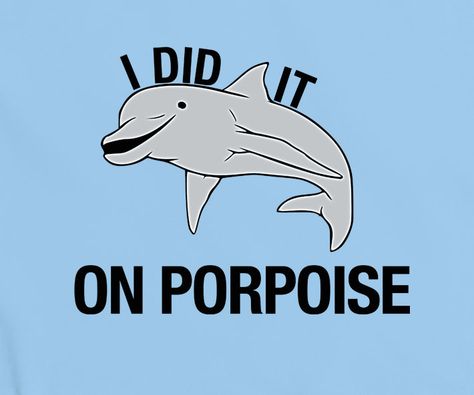 Dolphin Puns, Ocean Puns, Funny Dolphin, Common Phrases, Bad Puns, Nerd Gifts, Small Words, French Words, Positive Messages