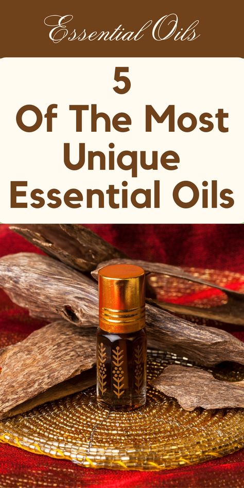 Discover Five Aromatic Treasures For A Unique Experience Welcome to a fragrant journey of rare and captivating essential oils! In this blog post, we’ll explore five extraordinary essential oils that will transport you to an aromatic wonderland. From the exotic Agarwood oil to the soothing Spikenard, these rare gems offer distinct fragrances and potential benefits. Let’s dive in and discover the secrets of these precious botanical extracts. Spikenard Essential Oil, Green Roots, Agarwood Oil, Helichrysum Essential Oil, Steam Distillation, Aromatic Oils, Citrus Oil, Diy Essential Oils, Oil Blends