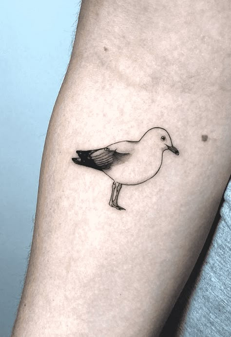 Seagull Tattoo Design Images (Seagull Ink Design Ideas) Minimalist Seagull Tattoo, Tiny Seagull Tattoo, Simple Seagull Tattoo, Seagull Tattoo Design, Sea Gull Tattoo, Seagull Tattoo Minimalist, Lorde Tattoo, Hannah Tattoo, Seagull Tattoo