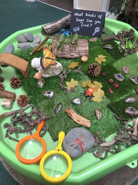 Insect Small World Play, Small World Play Ideas Natural Materials, Minibeasts Preschool Activities, Minibeast Tuff Tray Eyfs, Spring Theme Tuff Tray, Forest Provocation, Spring Provocations For Kindergarten, Bugs Tuff Tray, Reggio Bug Activities