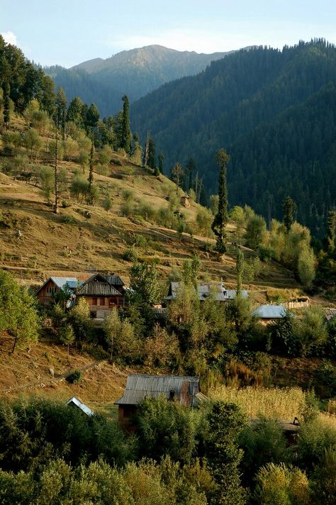 Yusmarg Valley, Kashmir #India Valley Of Flowers, Kashmir India, Mountain Valley, Beautiful Place, Geography, Switzerland, Beautiful Places, Paradise, Lake