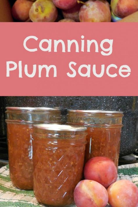 Plum Sauce Canning Recipe, Canning Plums, Plum Sauce Recipe, Plum Vinegar, Canned Plums, Butter Powder, Half And Half Recipes, Plum Recipes, Home Canning Recipes