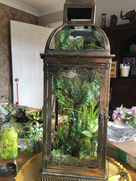 Plants In Lanterns, Arabian Market, Terrarium Lamp, Lantern Terrarium, Miniature Lantern, Terrarium Inspiration, Terrarium Scene, Diy Terrarium, Terrarium Ideas