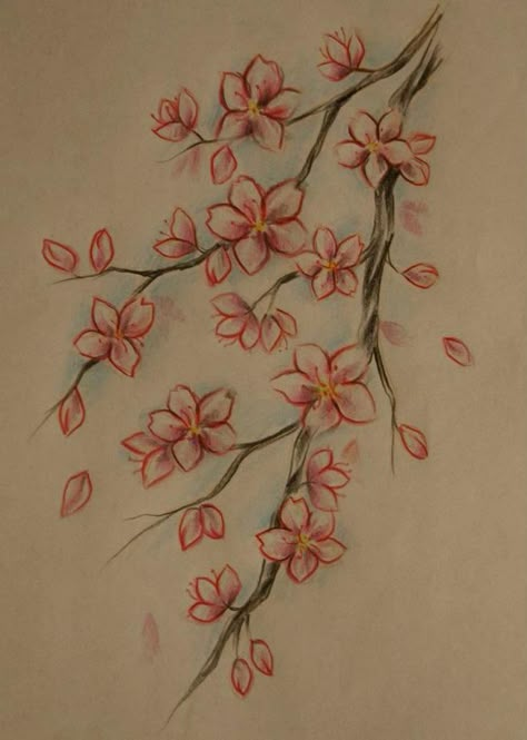 cherry blossom Flower Drawing Cherry Blossom, Cherry Blossom Simple Drawing, Cheery Blossoms Drawing Simple, Asian Drawing Sketch, Tree Flowers Drawing, How To Draw Cherry Blossoms, Japanese Flower Drawing, Sakura Tree Drawing, Cherry Blossom Tree Drawing