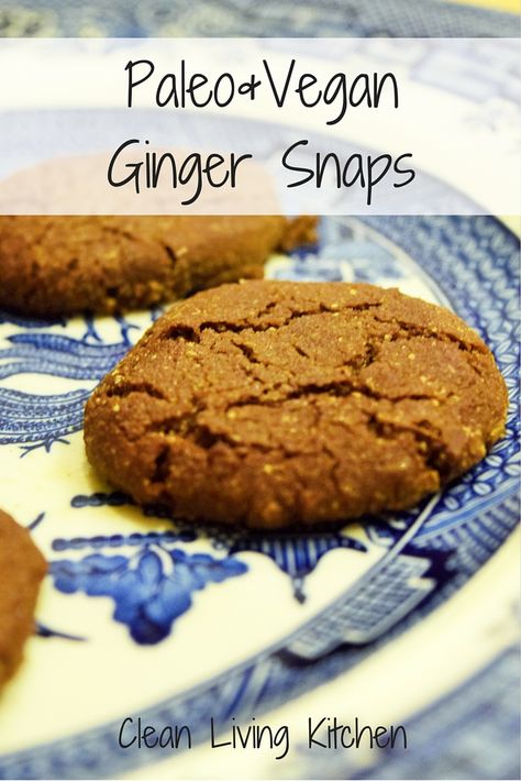 Paleo Ginger Snaps, Paleo Ginger Cookies, Gluten Free Ginger Snaps, Ginger Snaps Recipe, Egg Free Cookies, Aip Desserts, Paleo Cookies, Saltine Crackers, Ginger Snap Cookies