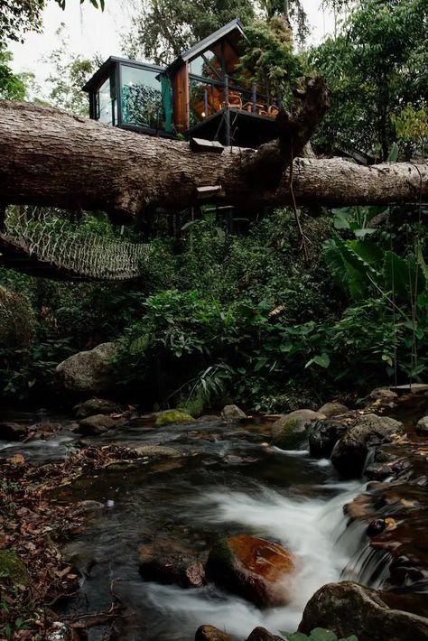 Wilderness Treehouse Above a Stunning Waterfall - Treehouses for Rent in Doi Saket, Chiang Mai, Thailand - Airbnb Thailand Airbnb, Treehouse Airbnb, Treehouse Cabins, Hot Air Balloon Rides, Air Balloon Rides, Chiang Mai Thailand, Hang Over, Chiang Mai, Hot Air