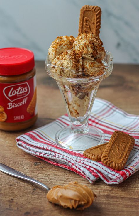 biscoff ice cream sundae with biscoff biscuits and spread jar Biscoff Ice Cream, Strawberry Cheesecake Ice Cream, Biscoff Recipes, Ice Cream Photography, Biscoff Biscuits, Ice Cream Set, Biscoff Spread, Ice Cream Ingredients, Lotus Biscoff