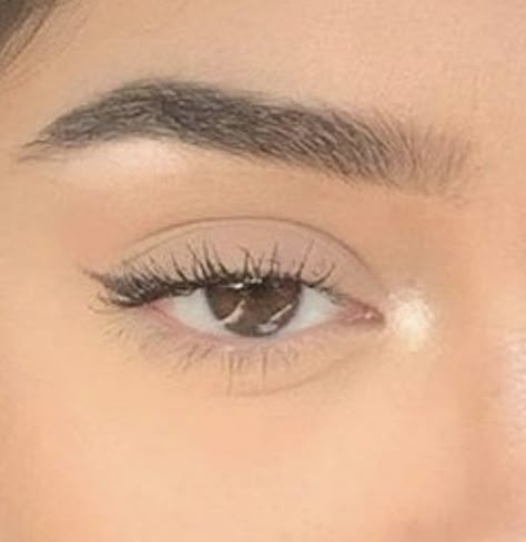 Soft Brown Eyeliner Natural, Soft Black Eyeliner, Small Eyeliner Makeup, Natural Makeup For Almond Eyes, Simple Eyeliner Looks Natural, Tiny Winged Eyeliner, Dainty Eyeliner, Almond Eye Makeup Eyeliner, Cute Simple Eyeliner