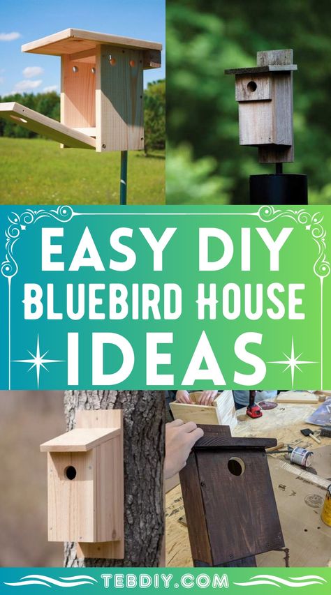 15 How To Build DIY Bluebird House Ideas Blue Bird Houses Plans, Eastern Bluebird House Plans, Small Bird Houses Diy, Bluebird Houses Diy, Diy Bluebird House, Pallet Wood Bird House, How To Make Bird Houses, Blue Bird House Plans, Blue Bird Houses Diy