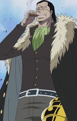 Crocodile One Piece, Piece Pfp, Sir Crocodile, Iconic Anime, Manga Pfp, Free Crop, One Piece Crew, Zoro One Piece, One Piece Drawing