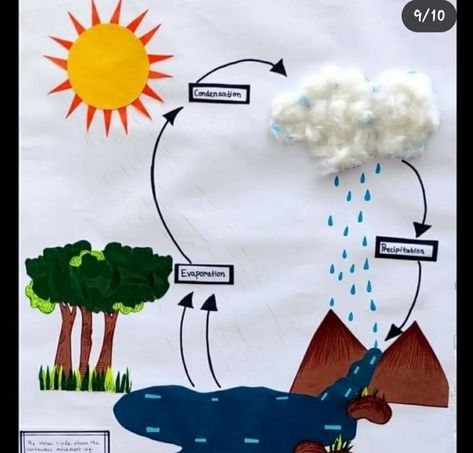 Water Cycle Model Projects, Water Cycle Project Poster, Water Cycle Project Models, Water Cycle Craft, Water Cycle Model, Feelings Activities Preschool, Frog Life Cycle Craft, Water Cycle Project, Science Exhibition Projects