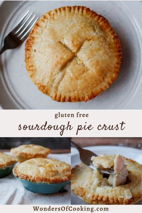 Gluten Free Sourdough Pie Crust - Sourdough Discard Recipes Pie Crust Pot Pie, Sourdough Pie Crust, Sourdough Starter Discard, Sourdough Discard Recipes, Gluten Free Sourdough Starter, Gluten Free Sourdough Bread, Best Gluten Free Bread, Gluten Free Pie Crust, Sourdough Starter Discard Recipe